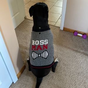 Medium Dog Sweater